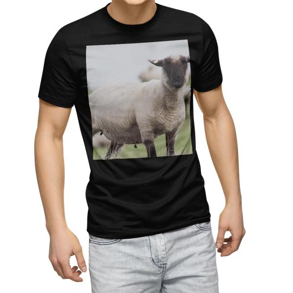 tVc Y  ubN fUC XS S M L XL 2XL TVc eB[Vc T shirt@  Ђ@@ʐ^ 002653