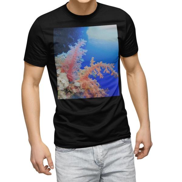 tVc Y  ubN fUC XS S M L XL 2XL TVc eB[Vc T shirt@  C@ʐ^@iF@i 003341