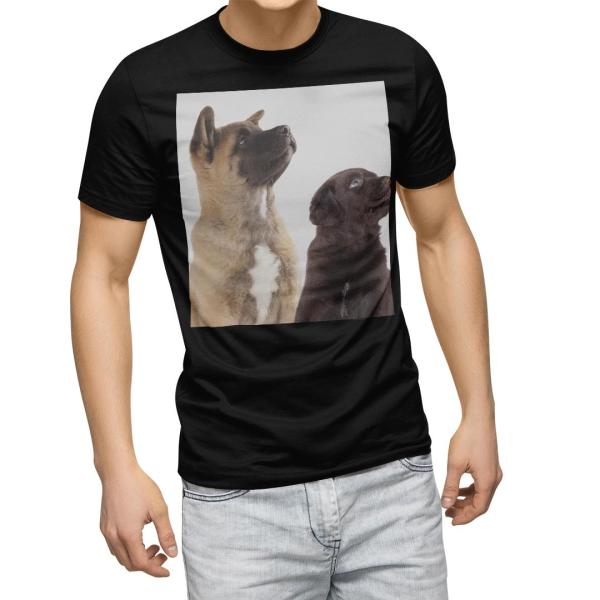 tVc Y  ubN fUC XS S M L XL 2XL TVc eB[Vc T shirt@  ʐ^@@L 008364