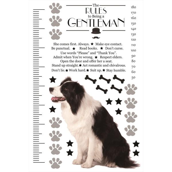 EH[XebJ[ gv LO ڐ {[_[R[   k 90×60cm V[   ǎ ͂ 