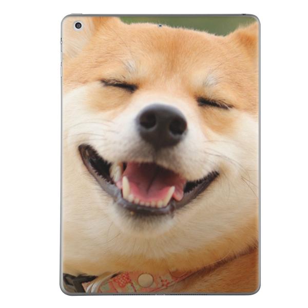 XLV[ fJ[ یV[ w   lC v[giPad mini mini2 mini3  XLV[ retina  @Č 000926