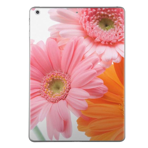 �X�L���V�[�� �f�J�[�� �ی�V�[�� �w�� ���� ������� �l�C �v���[���giPad mini mini2 mini3 ���� �X�L���V�[�� retina  �ԁ@�t�����[�@�ʐ^ 005378