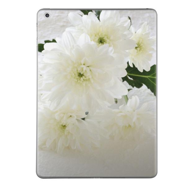 �X�L���V�[�� �f�J�[�� �ی�V�[�� �w�� ���� ������� �l�C �v���[���giPad mini mini2 mini3 ���� �X�L���V�[�� retina  �ԁ@�^��@ 014861