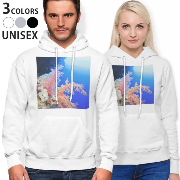 p[J[ j Y fB[X zCg O[ ubN fUC parker hooded sweatshirt  C@ʐ^@iF@i 003341