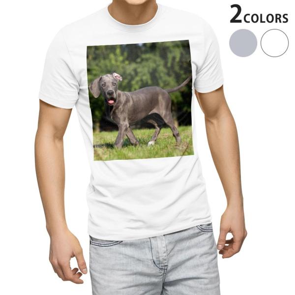 tVc Y  zCg O[ fUC XS S M L XL 2XL TVc eB[Vc T shirt  @@ʐ^ 002584