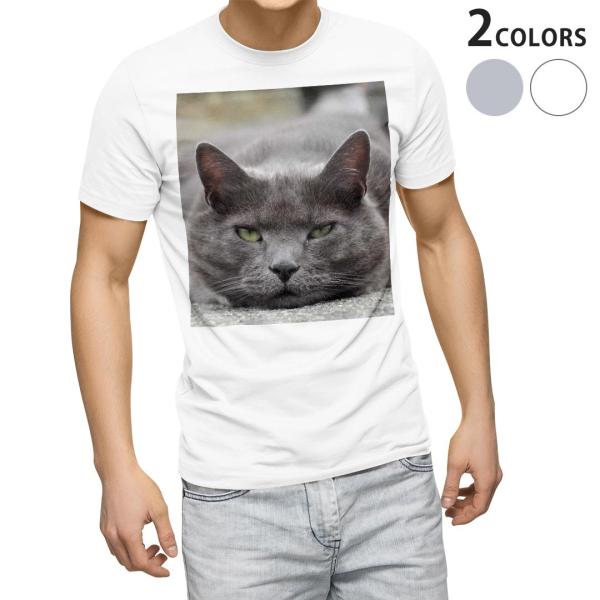 tVc Y  zCg O[ fUC XS S M L XL 2XL TVc eB[Vc T shirt  L@@ʐ^ 002650