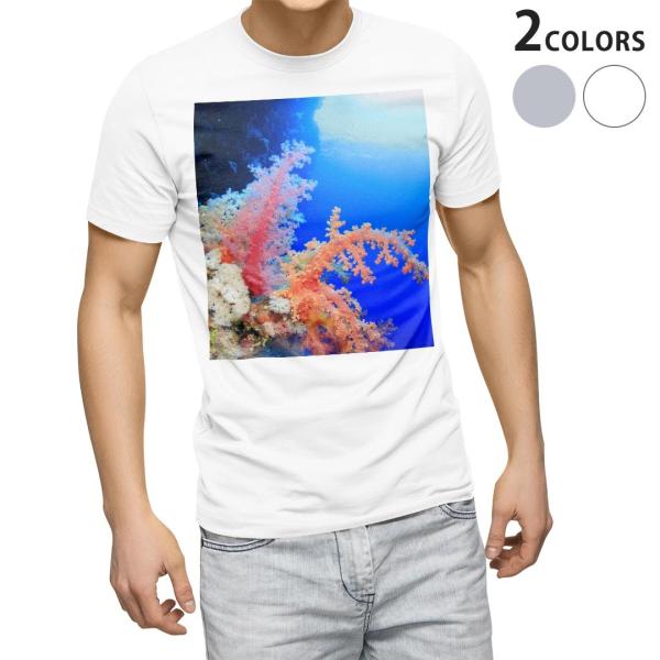 tVc Y  zCg O[ fUC XS S M L XL 2XL TVc eB[Vc T shirt  C@ʐ^@iF@i 003341
