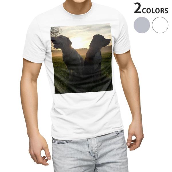 tVc Y  zCg O[ fUC XS S M L XL 2XL TVc eB[Vc T shirt  ʐ^@ 006937