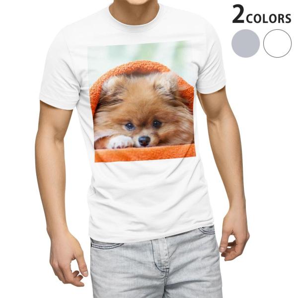 tVc Y  zCg O[ fUC XS S M L XL 2XL TVc eB[Vc T shirt  @ʐ^@IW 008644