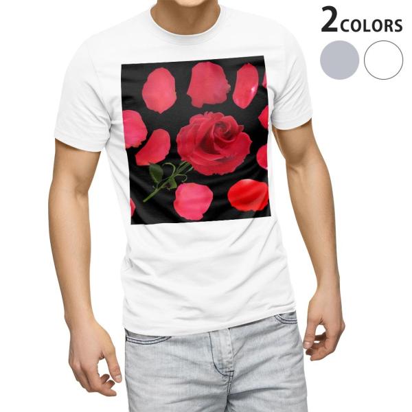 tVc Y  zCg O[ fUC XS S M L XL 2XL TVc eB[Vc T shirt  t[@ԁ@KN@ԁ@bh 008906