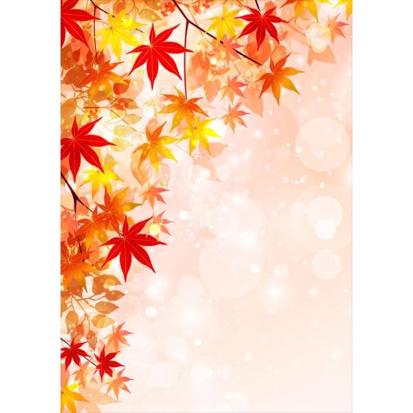 �|�X�^�[ �E�H�[���X�e�b�J�[ �V�[���� 127×178mm 2L �ʐ^ �� �C���e���A ������� wall sticker poster �g�t�@�H�@�V���v�� 004608
