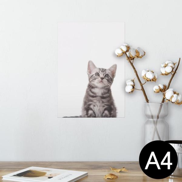 �|�X�^�[ �E�H�[���X�e�b�J�[ �V�[���� 210×297mm A4 �ʐ^ �� �C���e���A ������� wall sticker poster �L�@�A�����J���V���[�g�w�A 001070