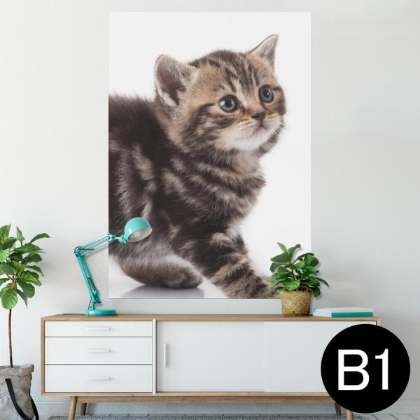 �|�X�^�[ �E�H�[���X�e�b�J�[ �V�[���� 728×1030mm B1 �ʐ^ �� �C���e���A ������� wall sticker poster �ʐ^�@�����@�L�@�˂� 005930