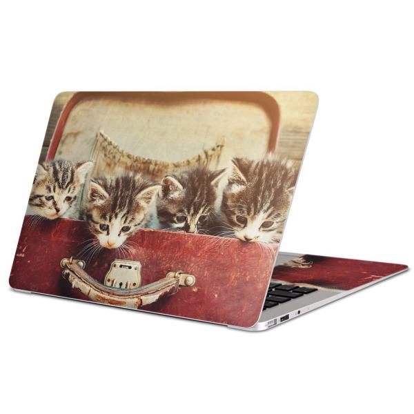 MacBook Pro 14inchpXLV[ }bNubN 14C` Mac Book  ʐ^@L@lR@Jo@ 008717