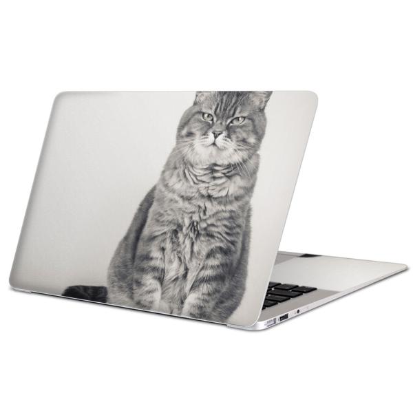 MacBook Pro 16inchpXLV[ }bNubN 14C` Mac Book  L@@ʐ^ 002901