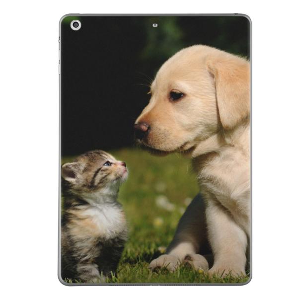 ��2���� iPad Pro 10.5 inch �C���` ���� �X�L���V�[�� apple �A�b�v�� �A�C�p�b�h �v�� A1701 A1709  ���@�L�@�����@�ʐ^ 002794