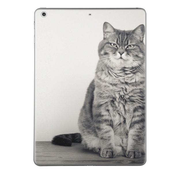 ��2���� iPad Pro 10.5 inch �C���` ���� �X�L���V�[�� apple �A�b�v�� �A�C�p�b�h �v�� A1701 A1709  �L�@�����@�ʐ^ 002901