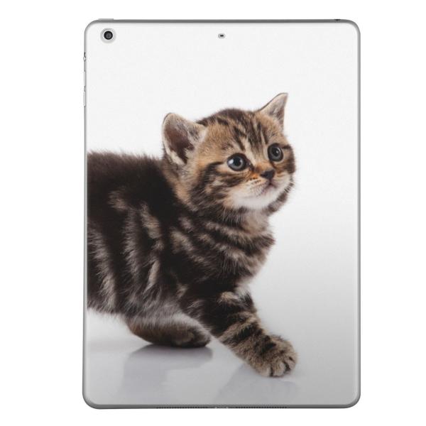 ��2���� iPad Pro 10.5 inch �C���` ���� �X�L���V�[�� apple �A�b�v�� �A�C�p�b�h �v�� A1701 A1709  �ʐ^�@�����@�L�@�˂� 005930