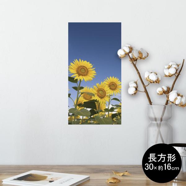 �|�X�^�[ �E�H�[���X�e�b�J�[ �����` �V�[���� ���� 30×16cm Ssize �� �������@wall sticker poster �t�����[�@�Ђ܂��@�ʐ^ 009265