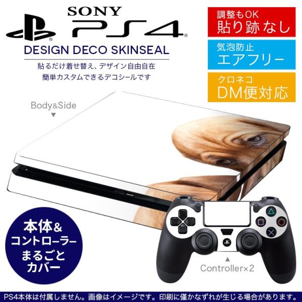 SONY V^PS4 X ^ vCXe[V pȃXLV[ \邾 fUCXebJ[ @ 001153