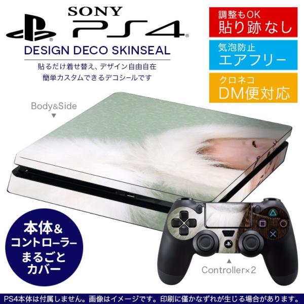 SONY V^PS4 X ^ vCXe[V pȃXLV[ \邾 fUCXebJ[ @q 001247
