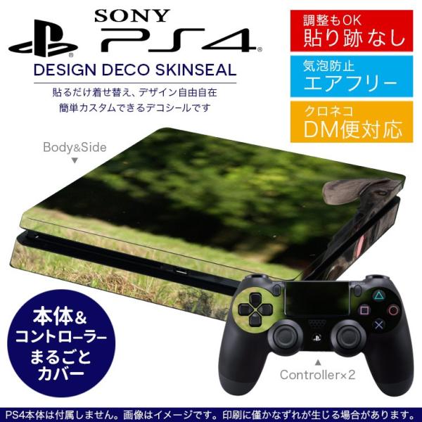 SONY V^PS4 X ^ vCXe[V pȃXLV[ \邾 fUCXebJ[ @@ʐ^ 002584
