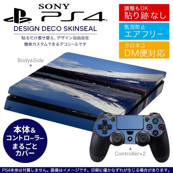 SONY V^PS4 X ^ vCXe[V pȃXLV[ \邾 fUCXebJ[ iF@i@ʐ^ 002812