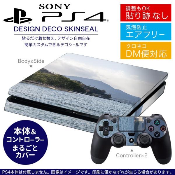 SONY V^PS4 X ^ vCXe[V pȃXLV[ \邾 fUCXebJ[ ʐ^@iF@i 003288