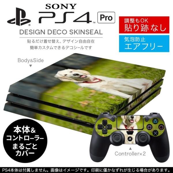 �u��z�֐�p�vSONY �V�^PS4 PRO �v�� �v���C�X�e�[�V������p�X�L���V�[�� �\�邾���� �f�U�C���X�e�b�J�[ ���@�����@�ʐ^ 002665