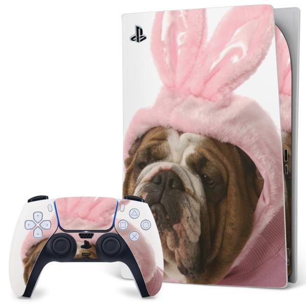 SONY PS5 fW^GfBV vCXe[V pȃXLV[ \邾 fUCXebJ[  @ 001083