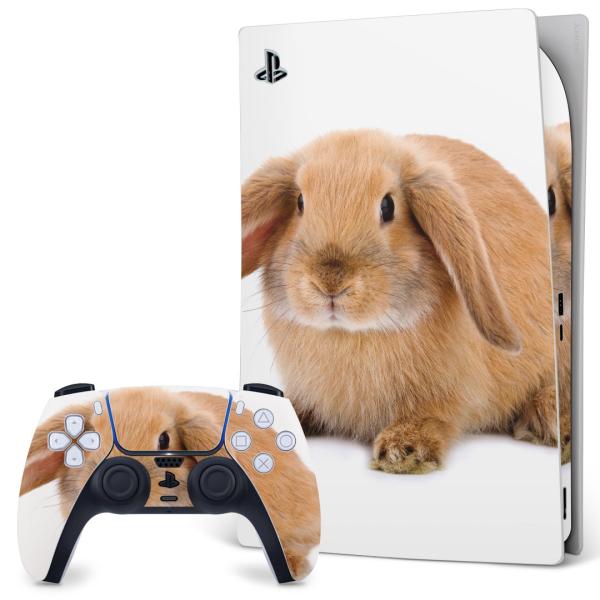 SONY PS5 fW^GfBV vCXe[V pȃXLV[ \邾 fUCXebJ[  @ 001112