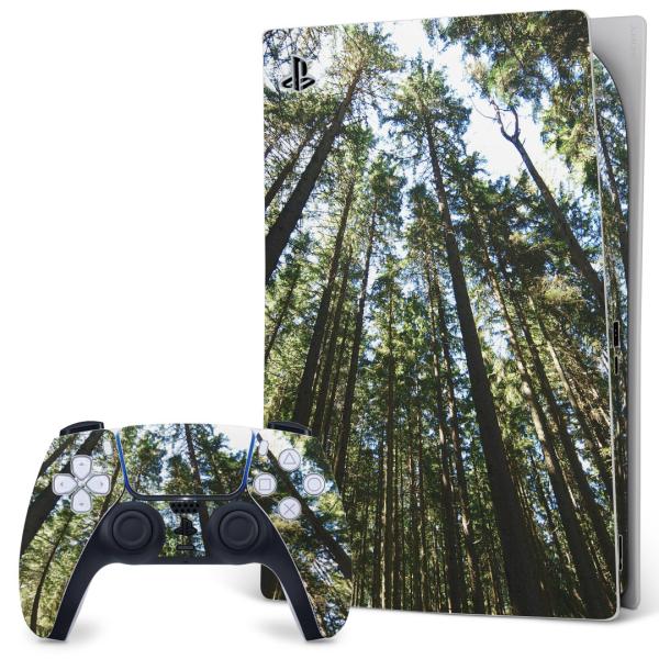 SONY PS5 fW^GfBV vCXe[V pȃXLV[ \邾 fUCXebJ[  iF@i@ʐ^ 002581