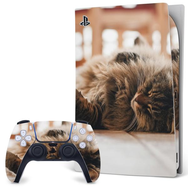 SONY PS5 fW^GfBV vCXe[V pȃXLV[ \邾 fUCXebJ[  L@@ʐ^ 002601