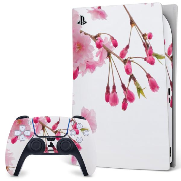 SONY PS5 fW^GfBV vCXe[V pȃXLV[ \邾 fUCXebJ[  ԁ@ʐ^@sN 002620