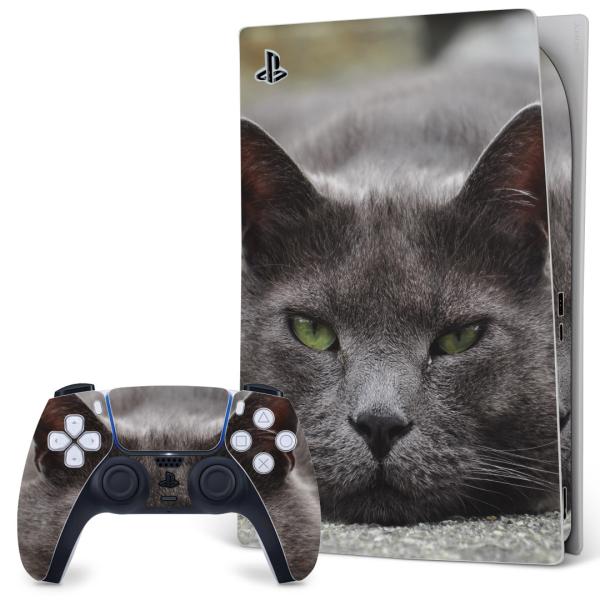 SONY PS5 fW^GfBV vCXe[V pȃXLV[ \邾 fUCXebJ[  L@@ʐ^ 002650