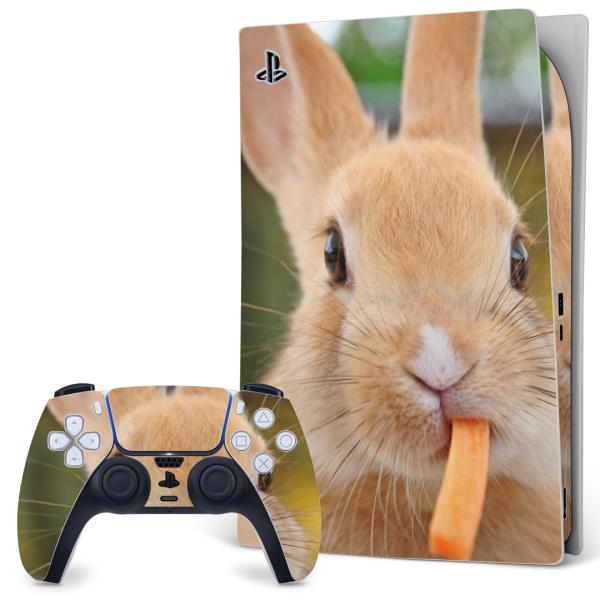 SONY PS5 fW^GfBV vCXe[V pȃXLV[ \邾 fUCXebJ[  @@ʐ^ 002807