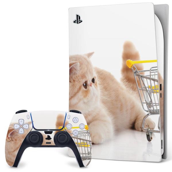 SONY PS5 fW^GfBV vCXe[V pȃXLV[ \邾 fUCXebJ[  L@@ʐ^ 002908