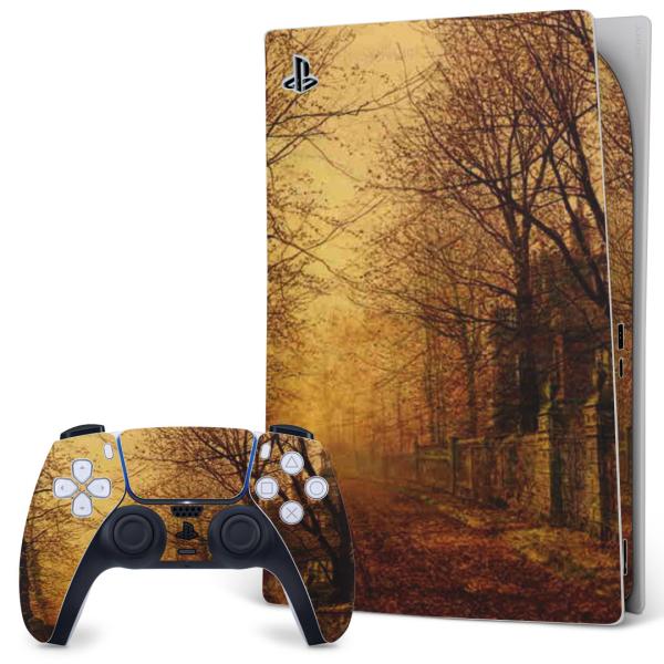 SONY PS5 fW^GfBV vCXe[V pȃXLV[ \邾 fUCXebJ[  iF@i@G@CXg 003224