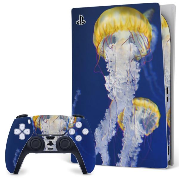 SONY PS5 fW^GfBV vCXe[V pȃXLV[ \邾 fUCXebJ[  炰@C@ʐ^ 003306