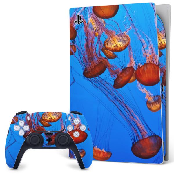 SONY PS5 fW^GfBV vCXe[V pȃXLV[ \邾 fUCXebJ[  炰@C@ʐ^ 003327