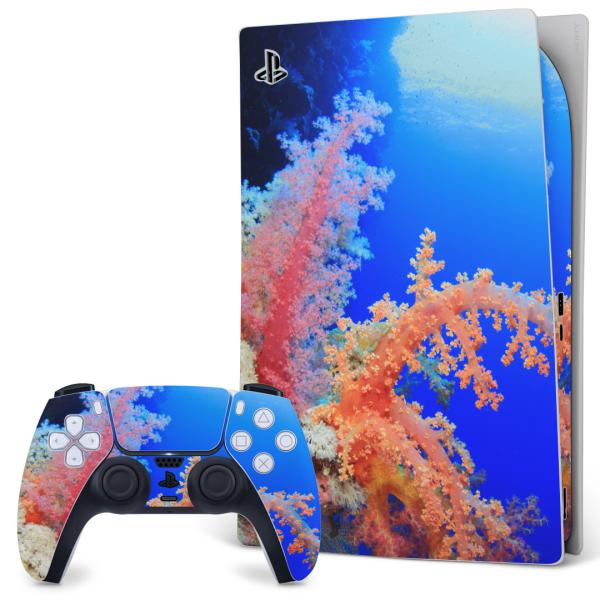SONY PS5 fW^GfBV vCXe[V pȃXLV[ \邾 fUCXebJ[  C@ʐ^@iF@i 003341