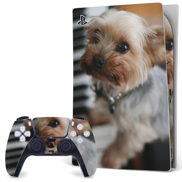 SONY PS5 fW^GfBV vCXe[V pȃXLV[ \邾 fUCXebJ[  @ʐ^@sAm 004565