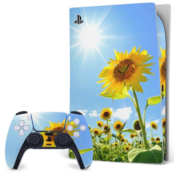 SONY PS5 �f�W�^���G�f�B�V���� �v���C�X�e�[�V���� ��p�������ȃX�L���V�[�� �\�邾���� �f�U�C���X�e�b�J�[  �Ђ܂��@�ʐ^�@���z 005089