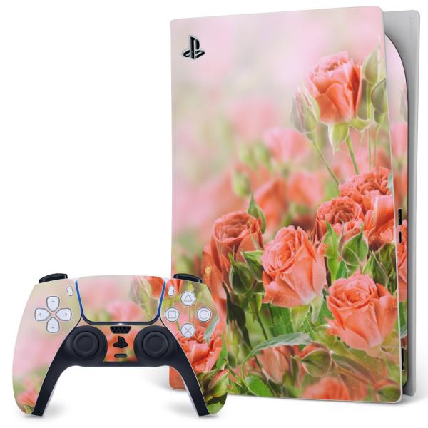 SONY PS5 fW^GfBV vCXe[V pȃXLV[ \邾 fUCXebJ[  ʐ^@ԁ@t[ 005491