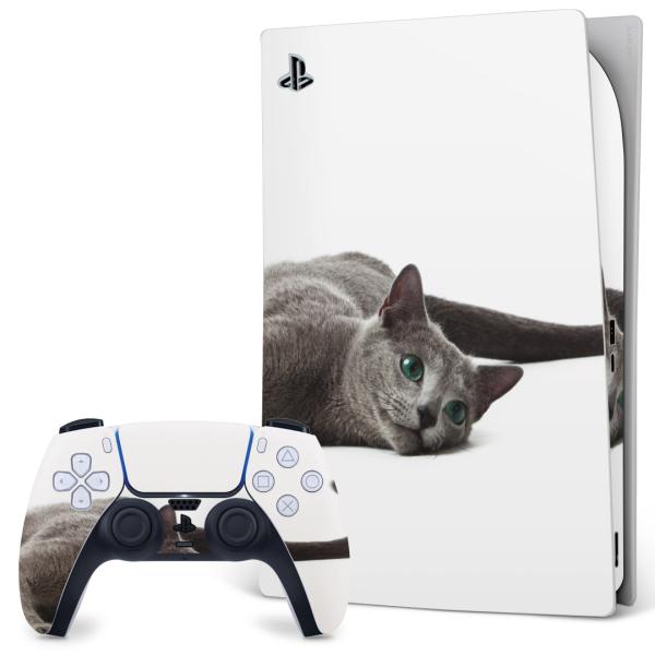 SONY PS5 fW^GfBV vCXe[V pȃXLV[ \邾 fUCXebJ[  ʐ^@@L@˂ 005907