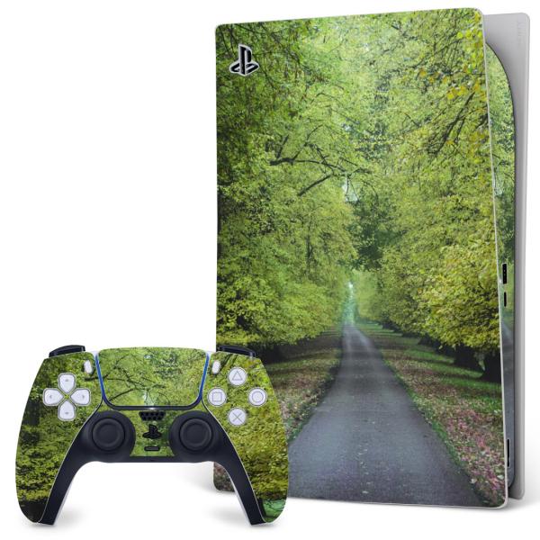 SONY PS5 fW^GfBV vCXe[V pȃXLV[ \邾 fUCXebJ[  ʐ^@ؓ 005917