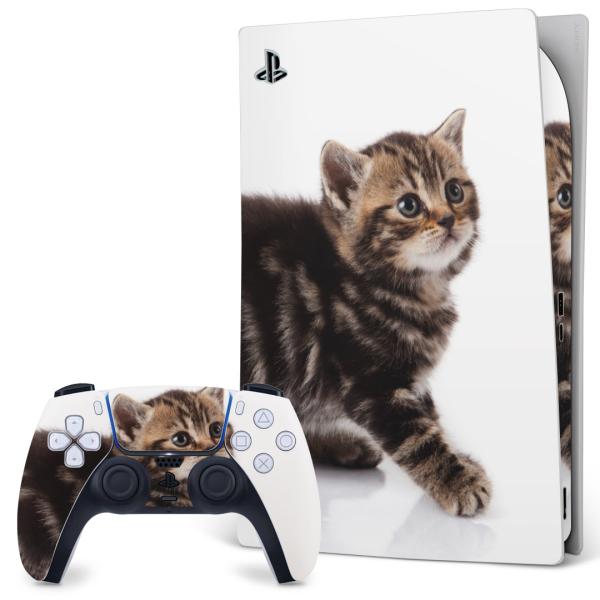 SONY PS5 fW^GfBV vCXe[V pȃXLV[ \邾 fUCXebJ[  ʐ^@@L@˂ 005930