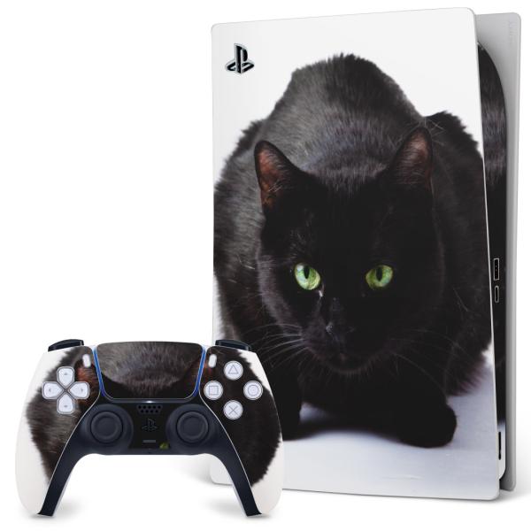 SONY PS5 fW^GfBV vCXe[V pȃXLV[ \邾 fUCXebJ[  ʐ^@@˂@L 005958