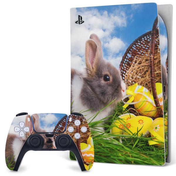 SONY PS5 fW^GfBV vCXe[V pȃXLV[ \邾 fUCXebJ[  ʐ^@@ 006581