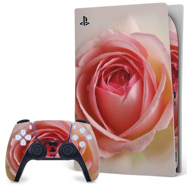 SONY PS5 �f�W�^���G�f�B�V���� �v���C�X�e�[�V���� ��p�������ȃX�L���V�[�� �\�邾���� �f�U�C���X�e�b�J�[  �ԁ@�t�����[ 007217